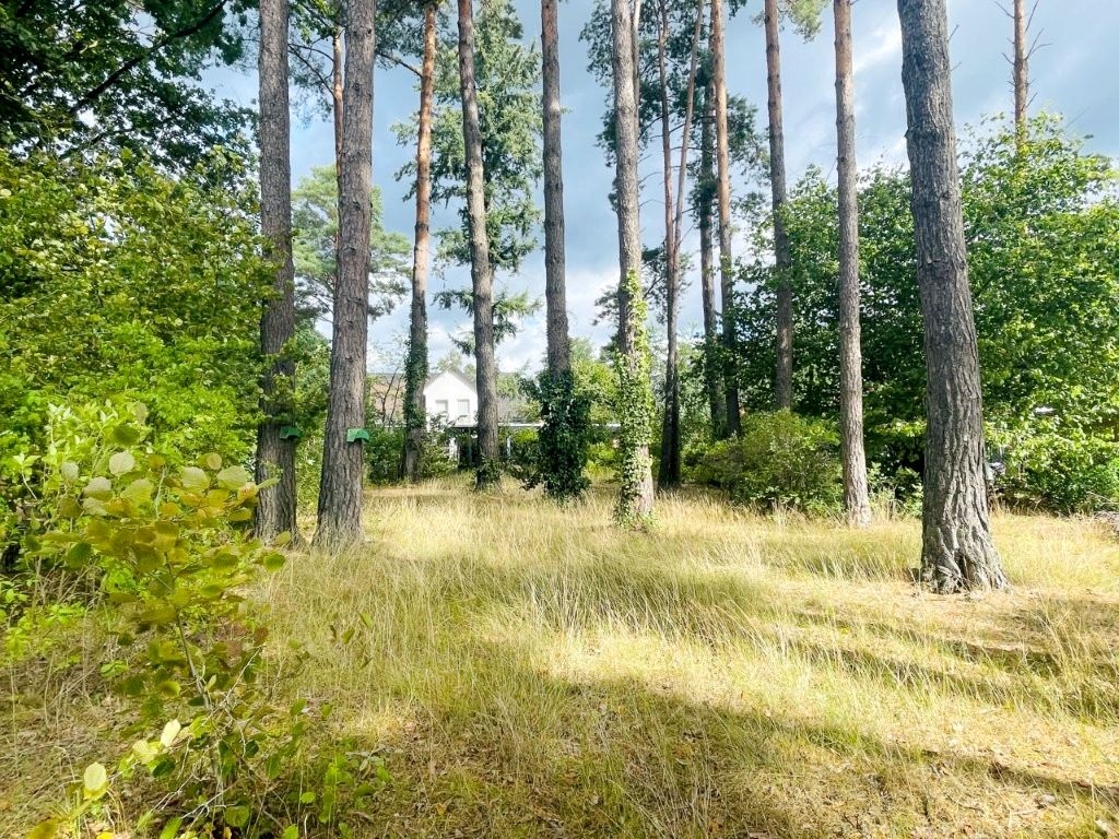 Hohen Neuendorf