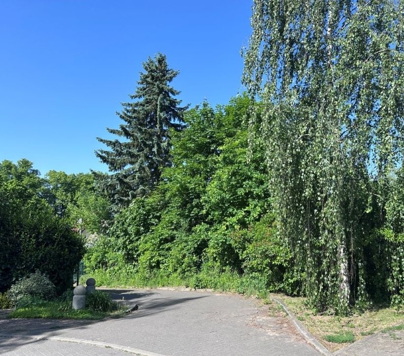 Birkenwerder