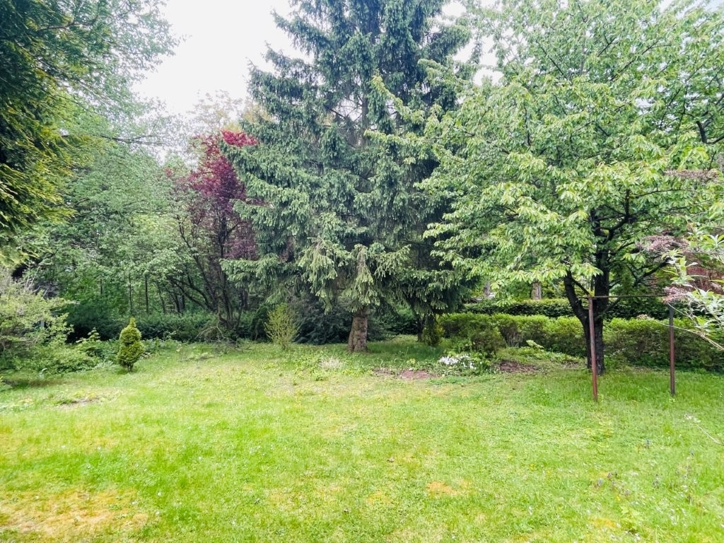 Birkenwerder