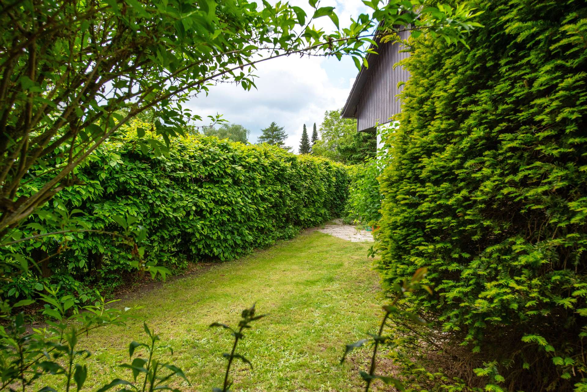 Familienfreundliche DHH mit Wohnkeller, Sauna und Terrasse in ruhiger Lage von Berlin-Buckow – Bild 4