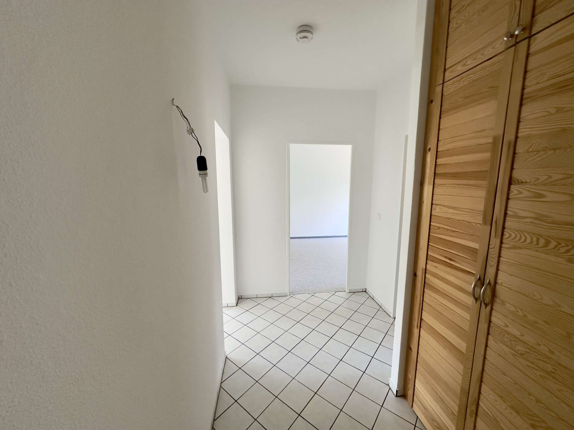 Bezugsfreie 2-Zimmer-Wohnung mit sonnigem Balkon und modernisiertem Gesamtbild in Berlin-Lankwitz - Bild 5