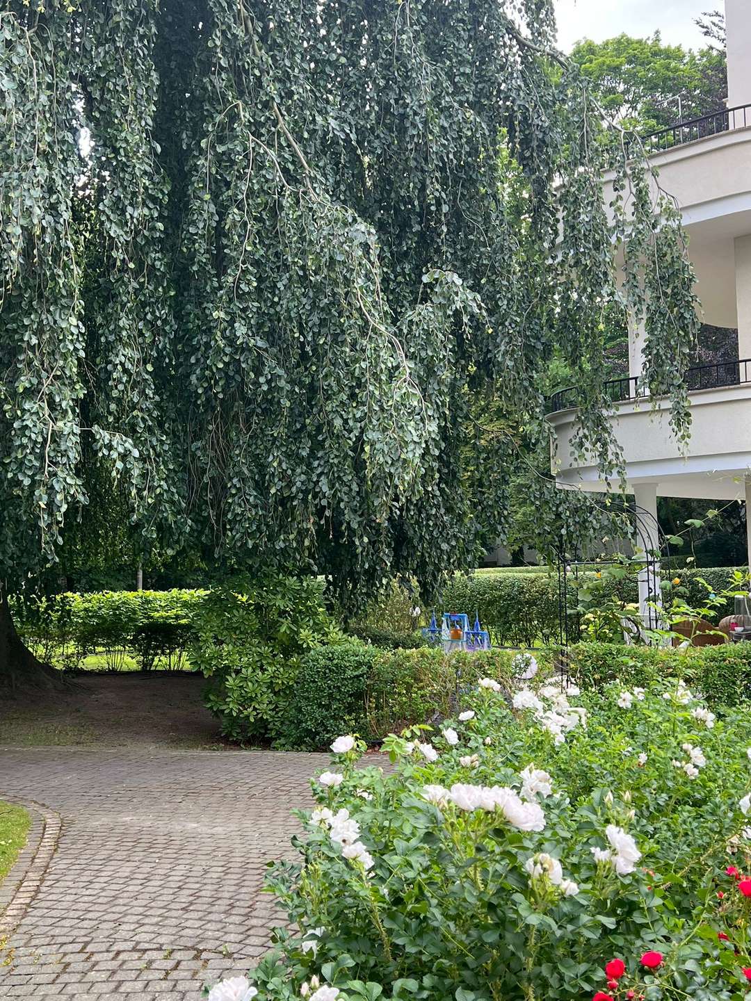 Prestigeträchtige Residenz in Grunewald mit privatem Außenrefugium – Bild 9