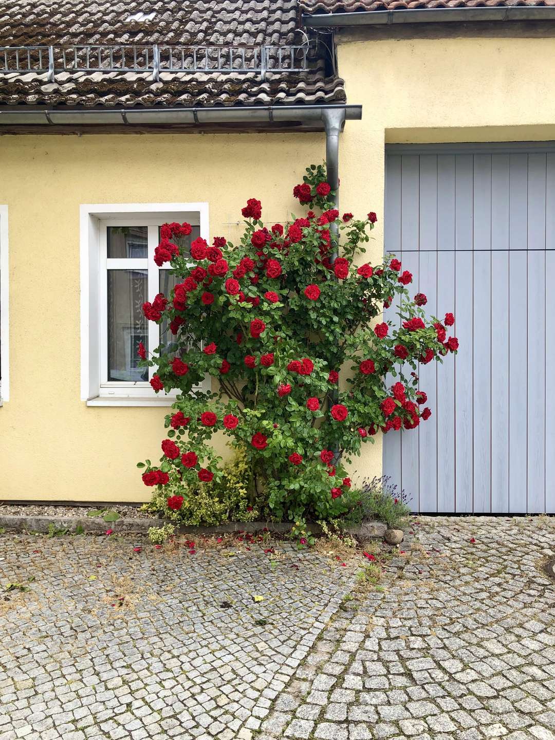 Idyllischer Dreiseitenhof mit weiterem Ausbaupotenzial in der Nähe des Spreewalds – Bild 4