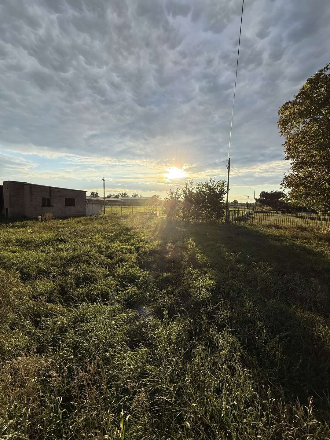 Traumgrundstück in ruhiger, familiärer Lage in Trebbin: Bauanträge, Genehmigungen & Pläne liegen vor – Bild 4