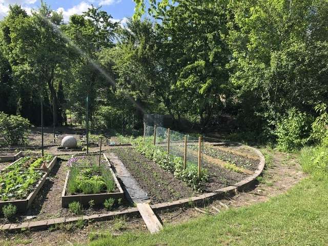 Idyllischer Dreiseitenhof mit weiterem Ausbaupotenzial in der Nähe des Spreewalds – Bild 25