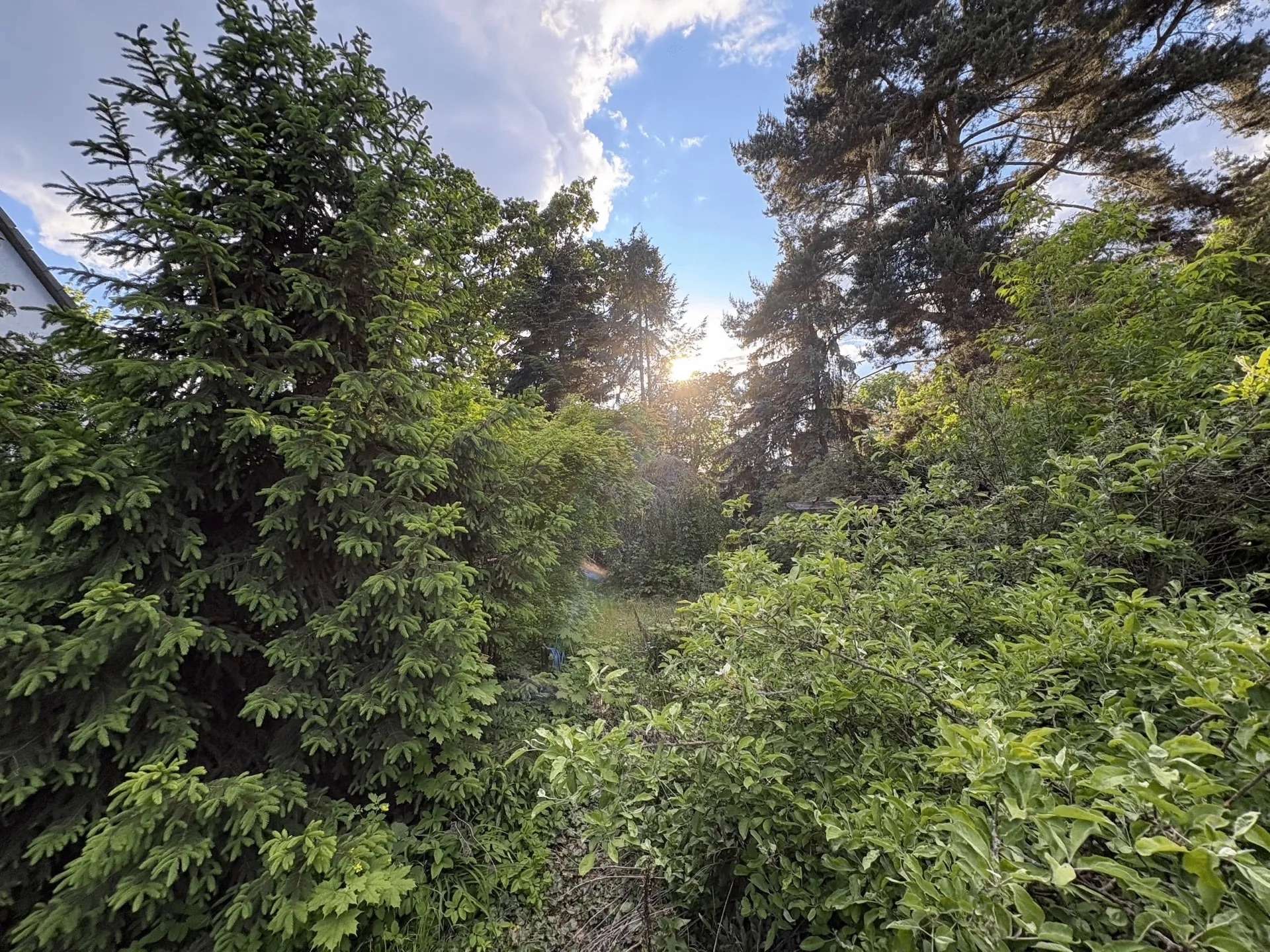 Großzügiges Baugrundstück in Berlin-Mahlsdorf Süd – Bebaubarkeit für zwei Wohnhäuser bestätigt - Bild 4