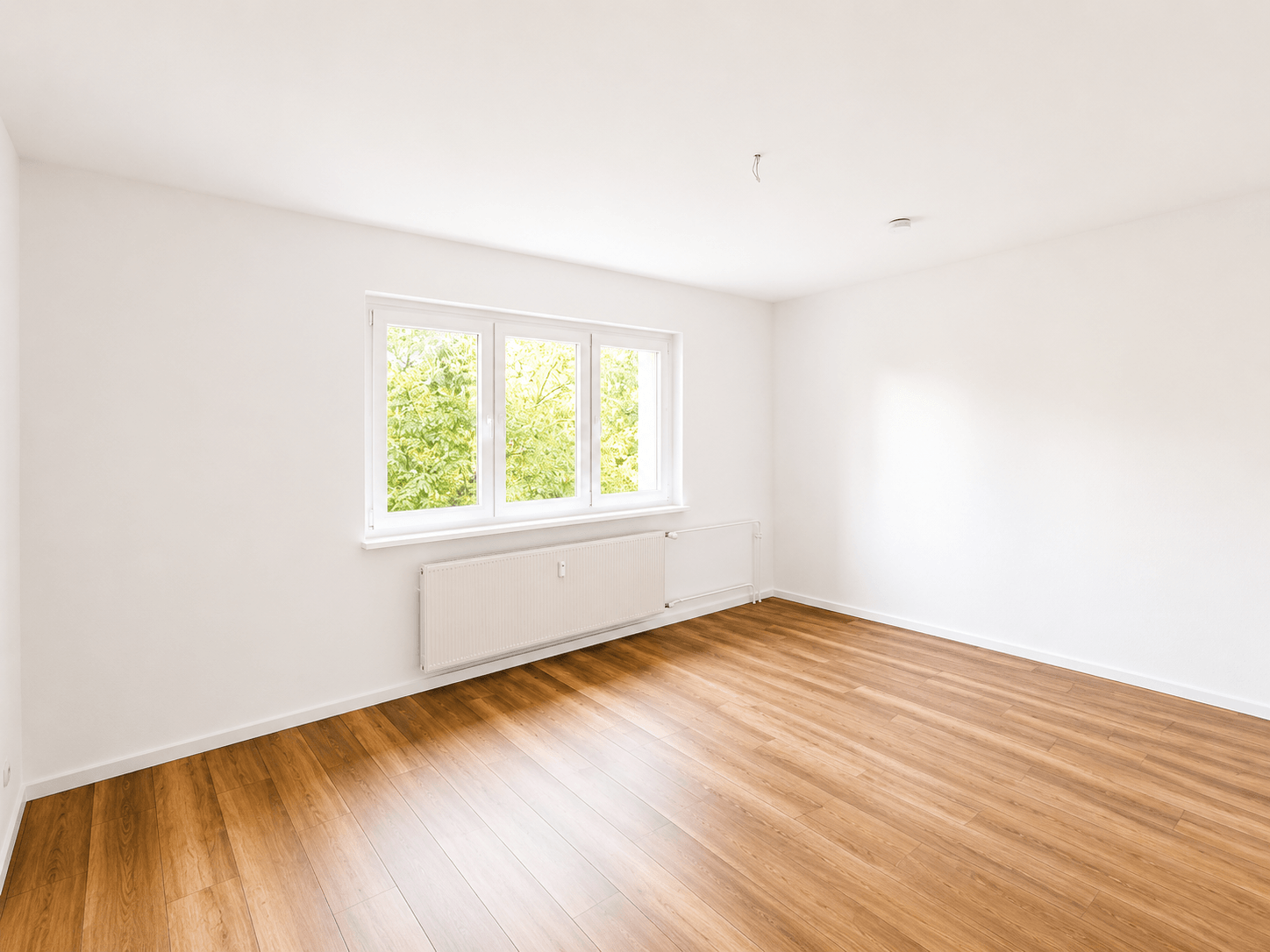 Sofort bezugsfrei! 2 Zimmer + große Wohnküche - Südwest in sehr begehrter Lage - Bild 3