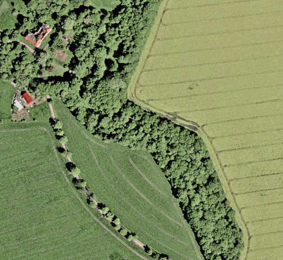 Nahe Ostsee! Liebhaberstück mit Geschichtsträchtigkeit: Herrenhausruine für Wiederaufbau – Bild 3