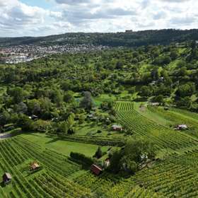 Secret Sale - Eine Rarität, Baugrundstück mit Haus in einer herrlichen Aussichtslage von Gerlingen - Weinberge