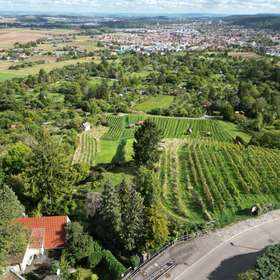 Secret Sale - Eine Rarität, Baugrundstück mit Haus in einer herrlichen Aussichtslage von Gerlingen - Vogelperspektive 