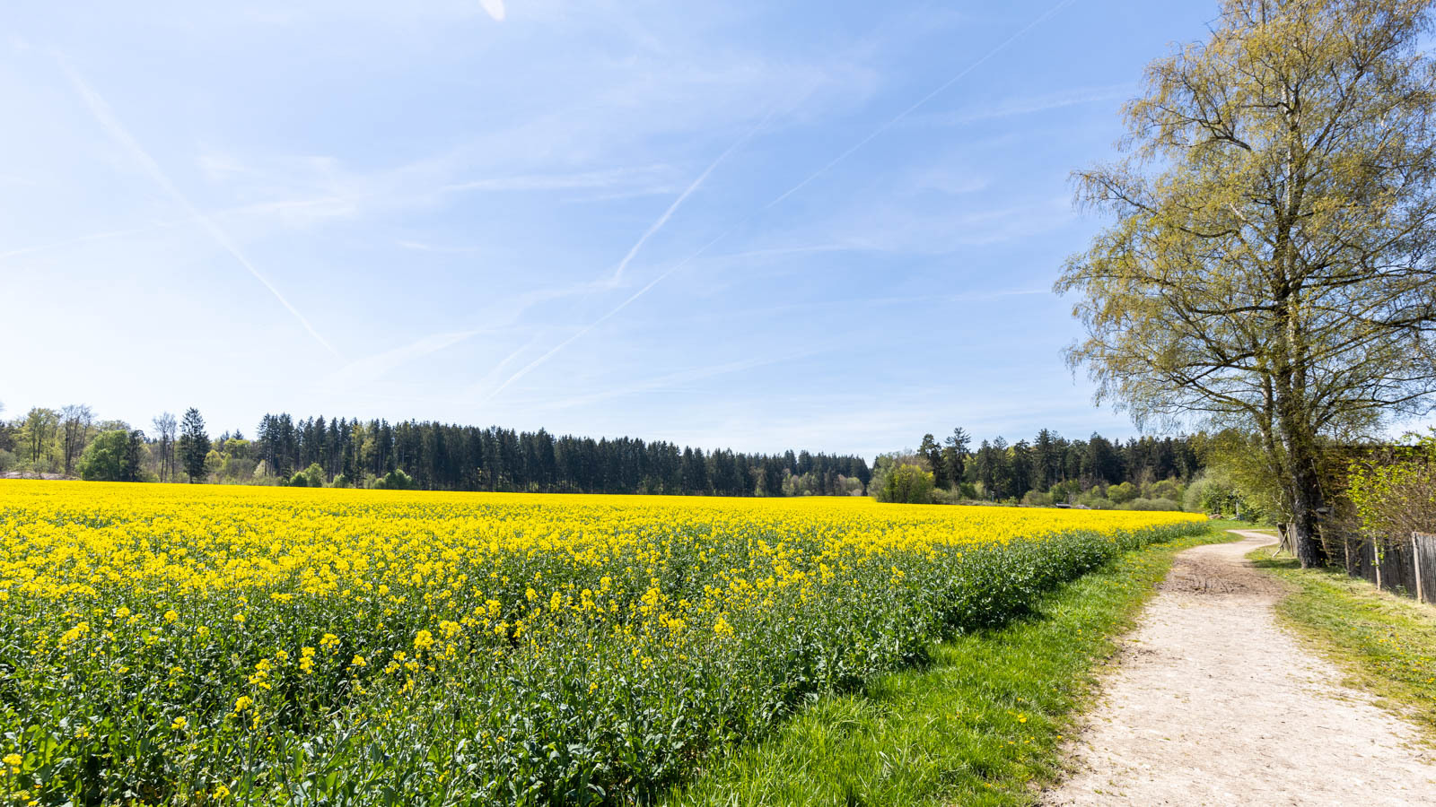 Schicke Wohnung mit überdachtem Südbalkon - Photo 5