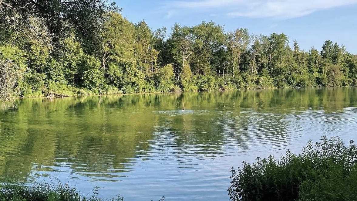 Gut geschnittene Familienwohnung in Unterföhring - Foto 2