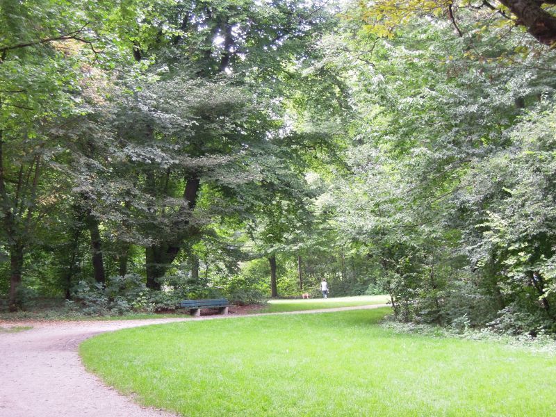 Ruhige Balkonwohnung in der Au - Photo 3