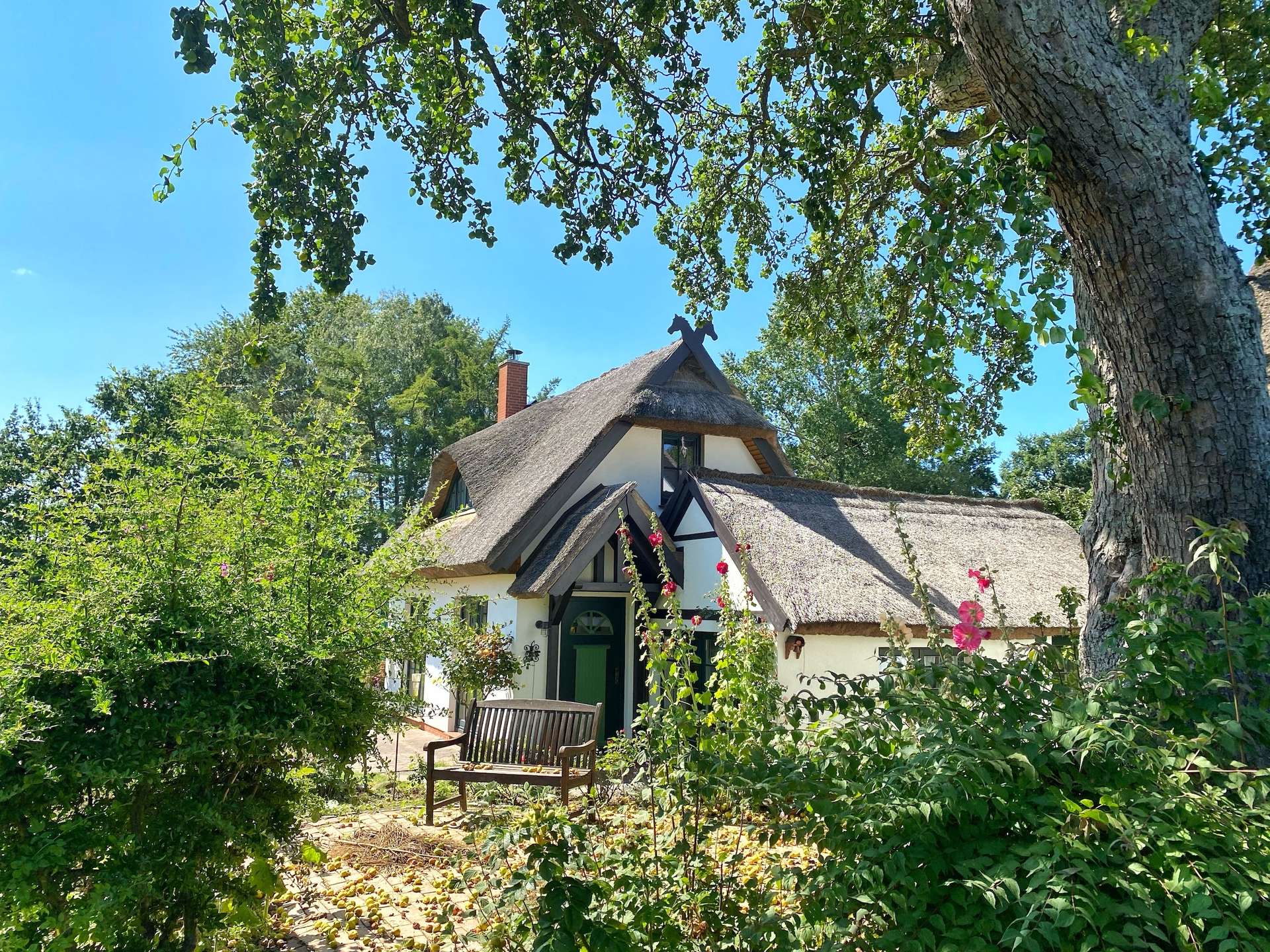 Hausansicht Ferienhaus