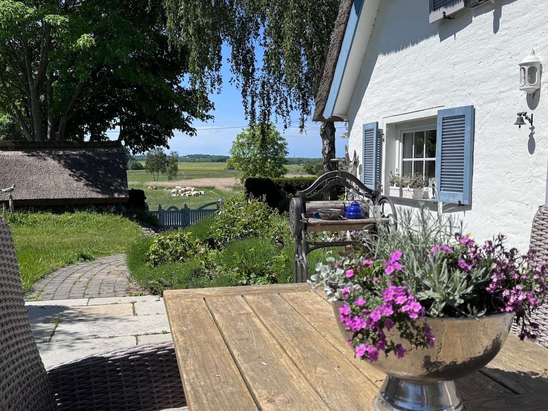 Blick von der Terrasse