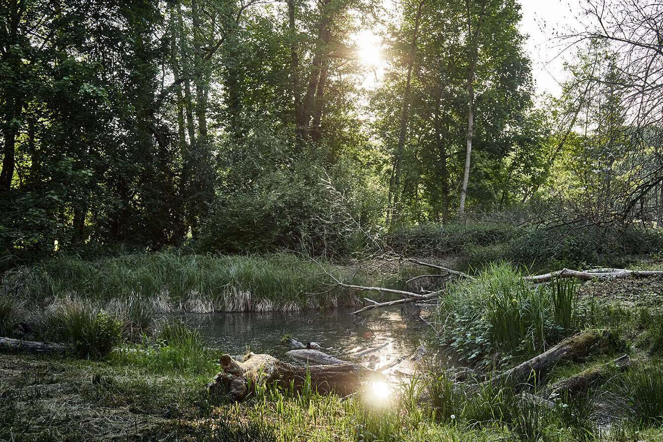 einmal über die Straße ..