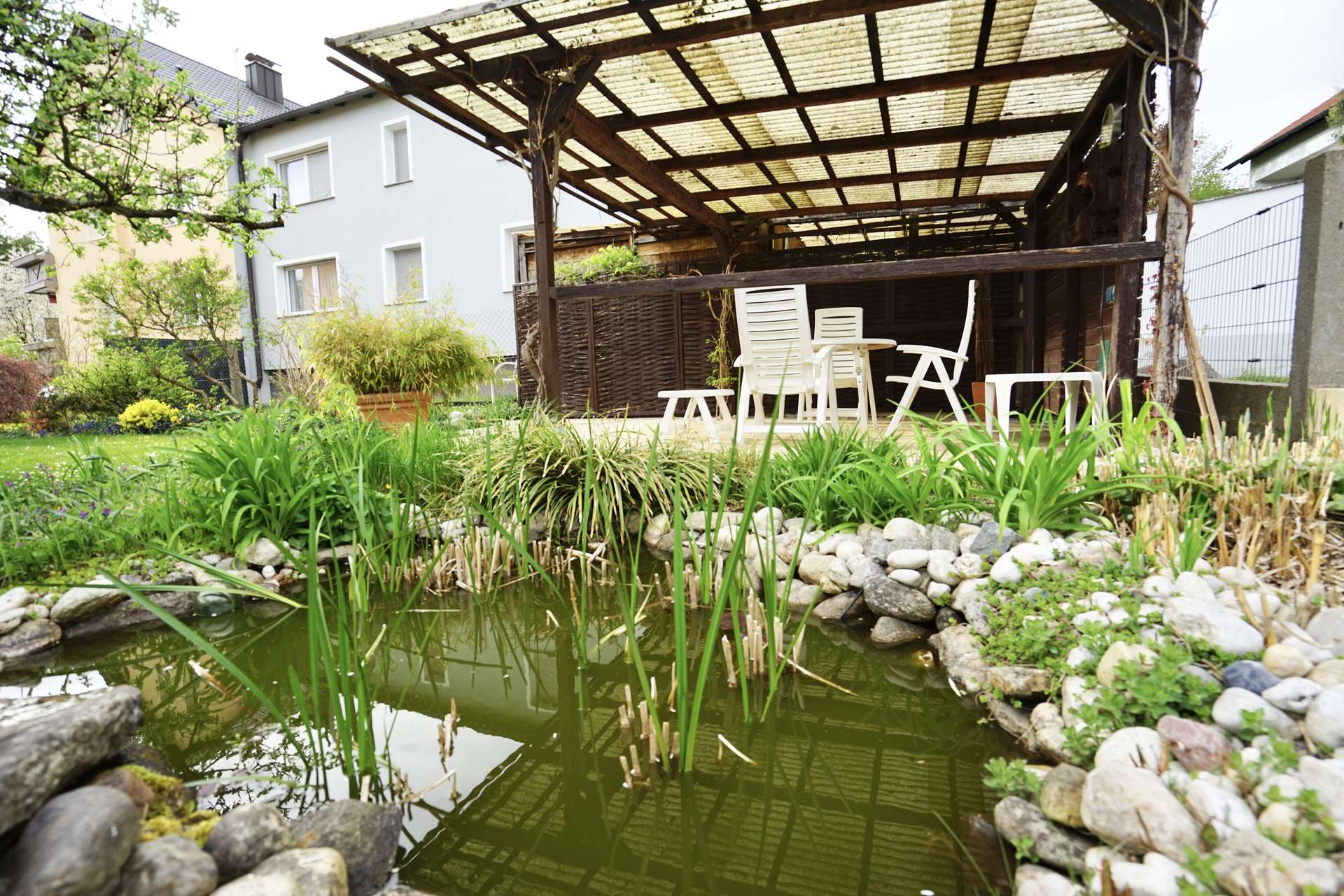 Gartenteich mit Fischen