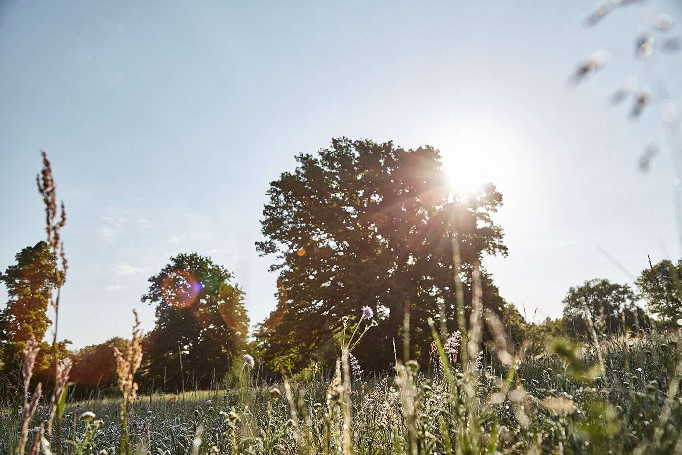 für lange Gassirunden oder Spaziergänge