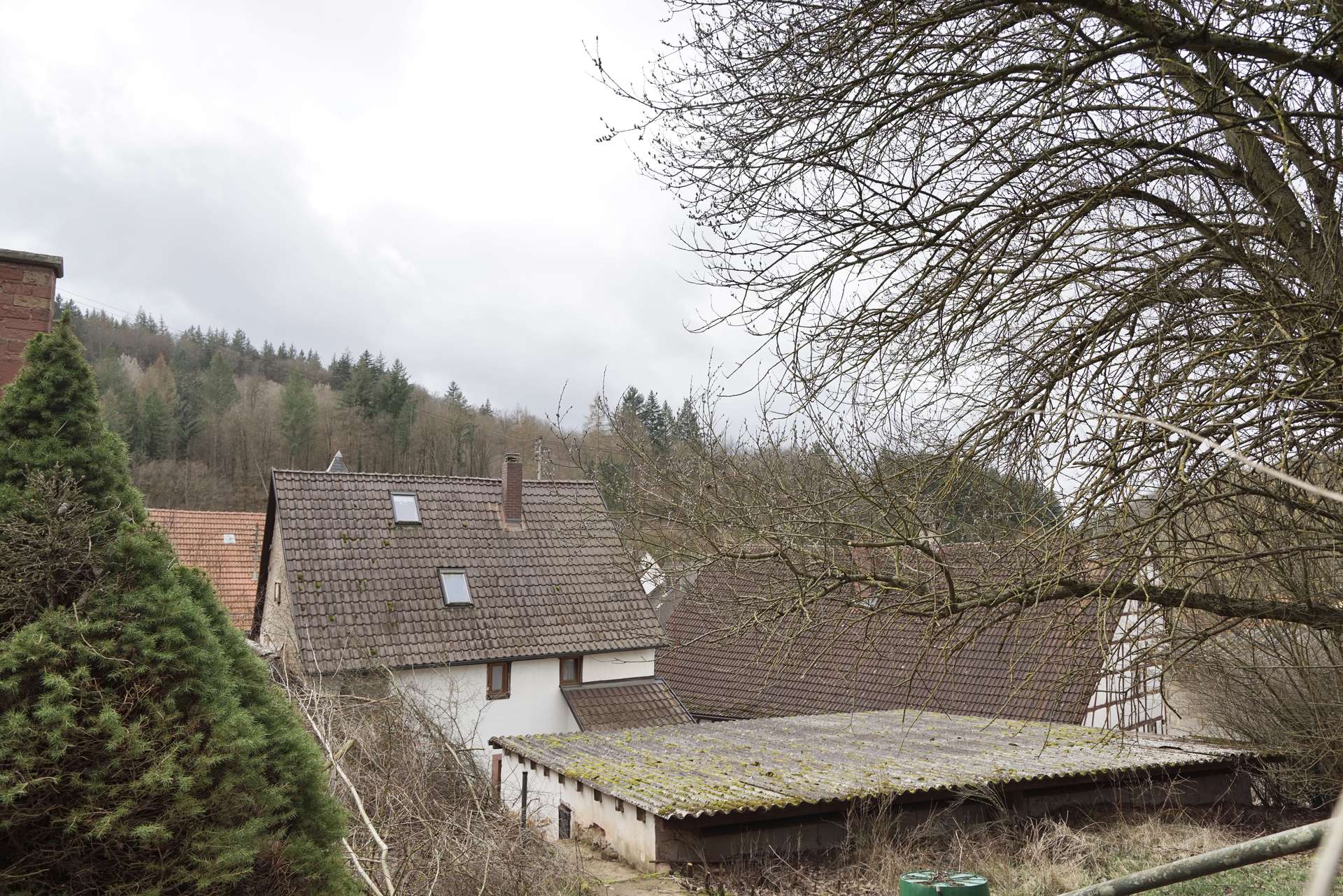 Blick vom Garten - Hanggrundstück