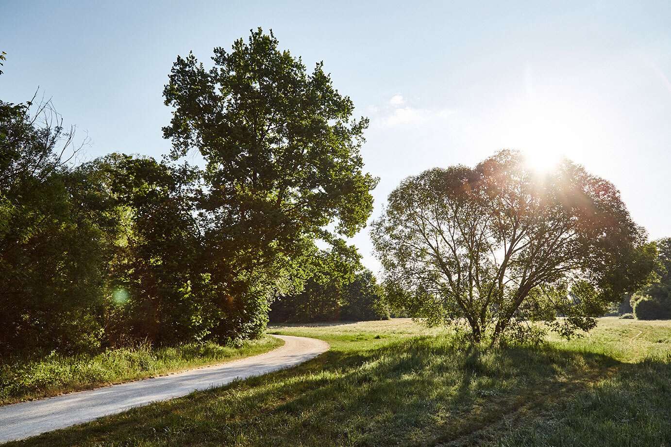 Natur PUR!