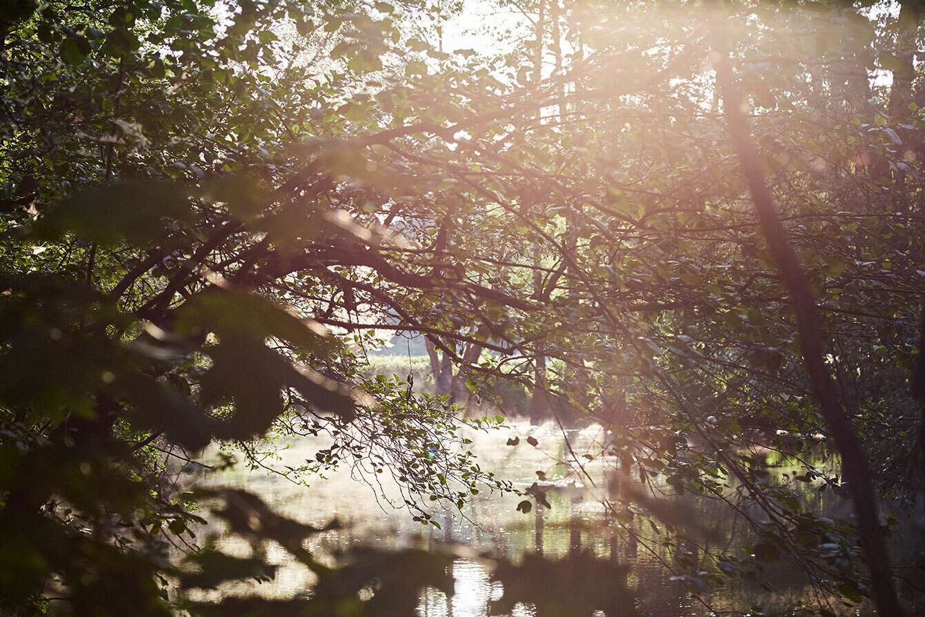 Natur pur - hier brauchen Sie keinen Garten! 