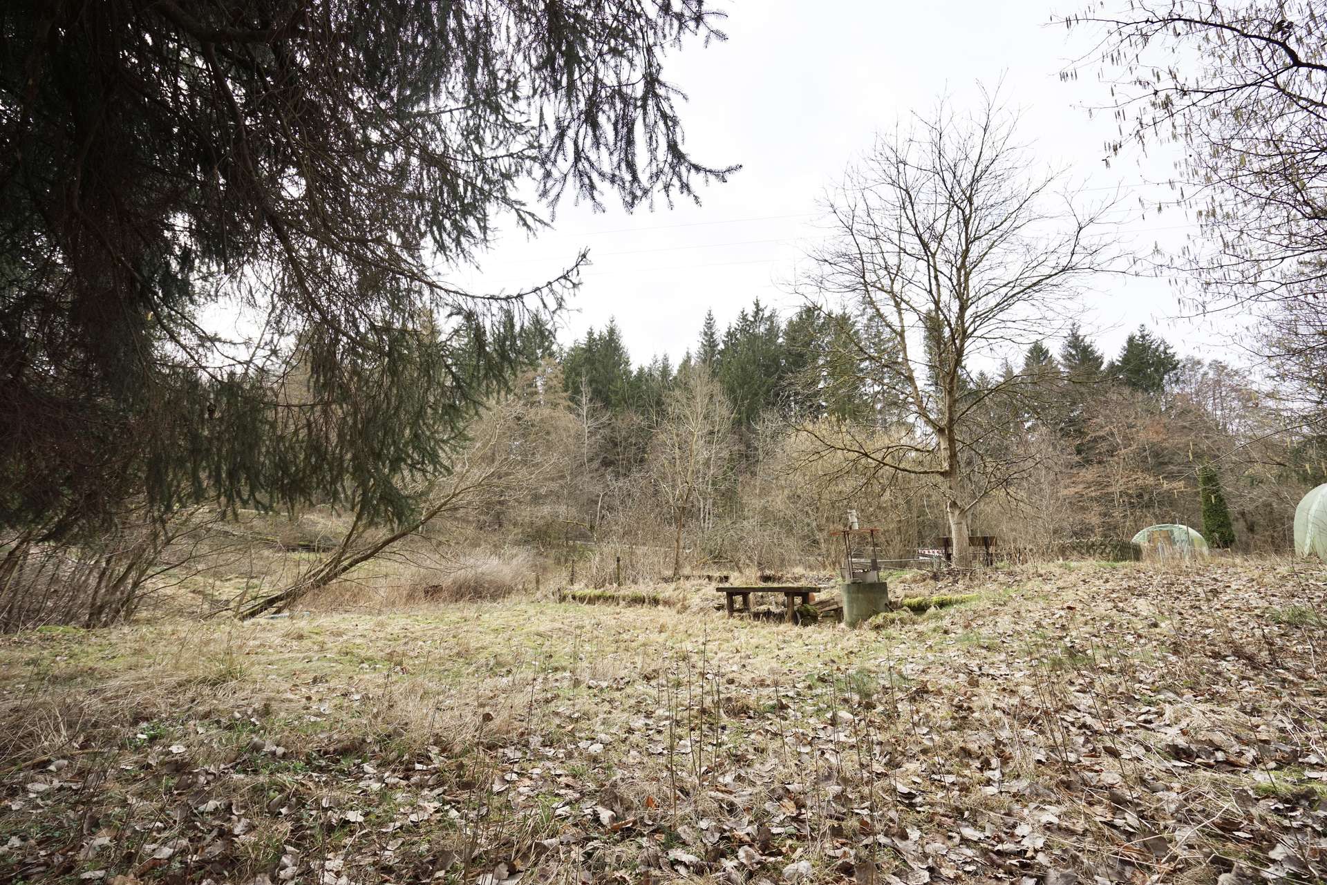 schönes Freizeitgrundstück mit viel Potential