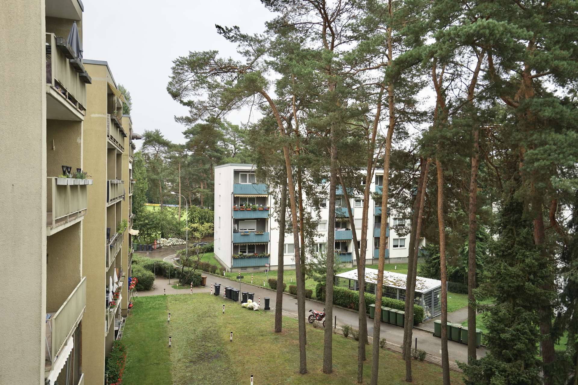 mit Blick ins Grüne! 