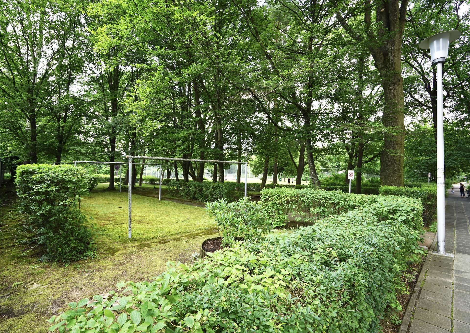 DSC03563