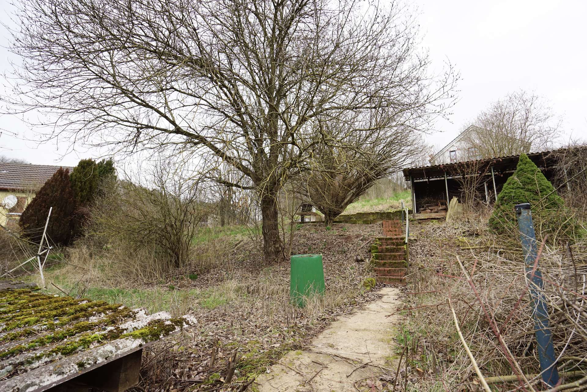 großer Garten mit Grillplatz