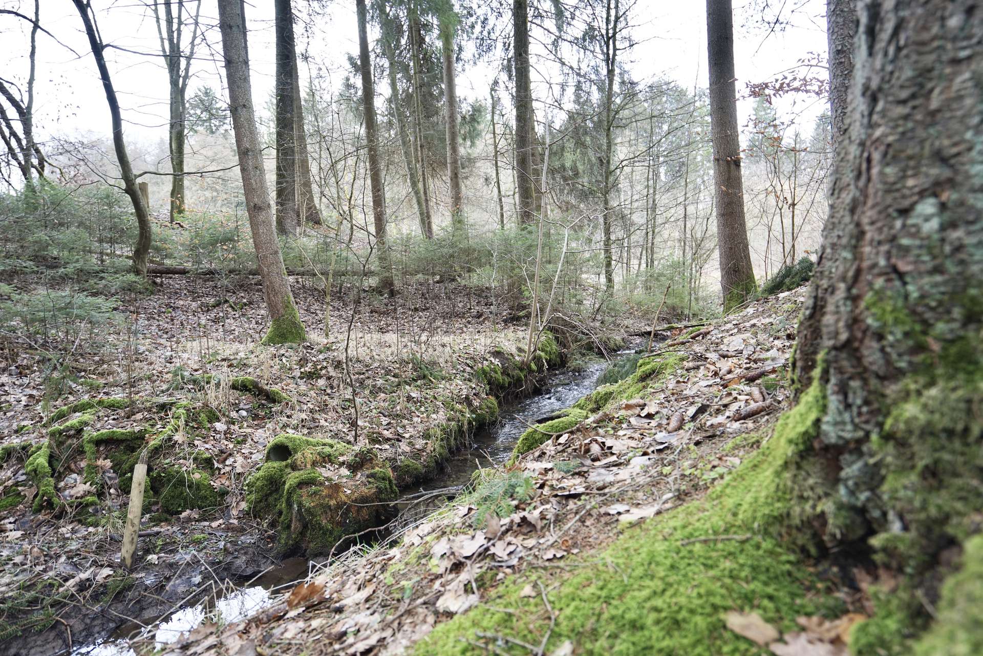 idyllisch ruhige Umgebung