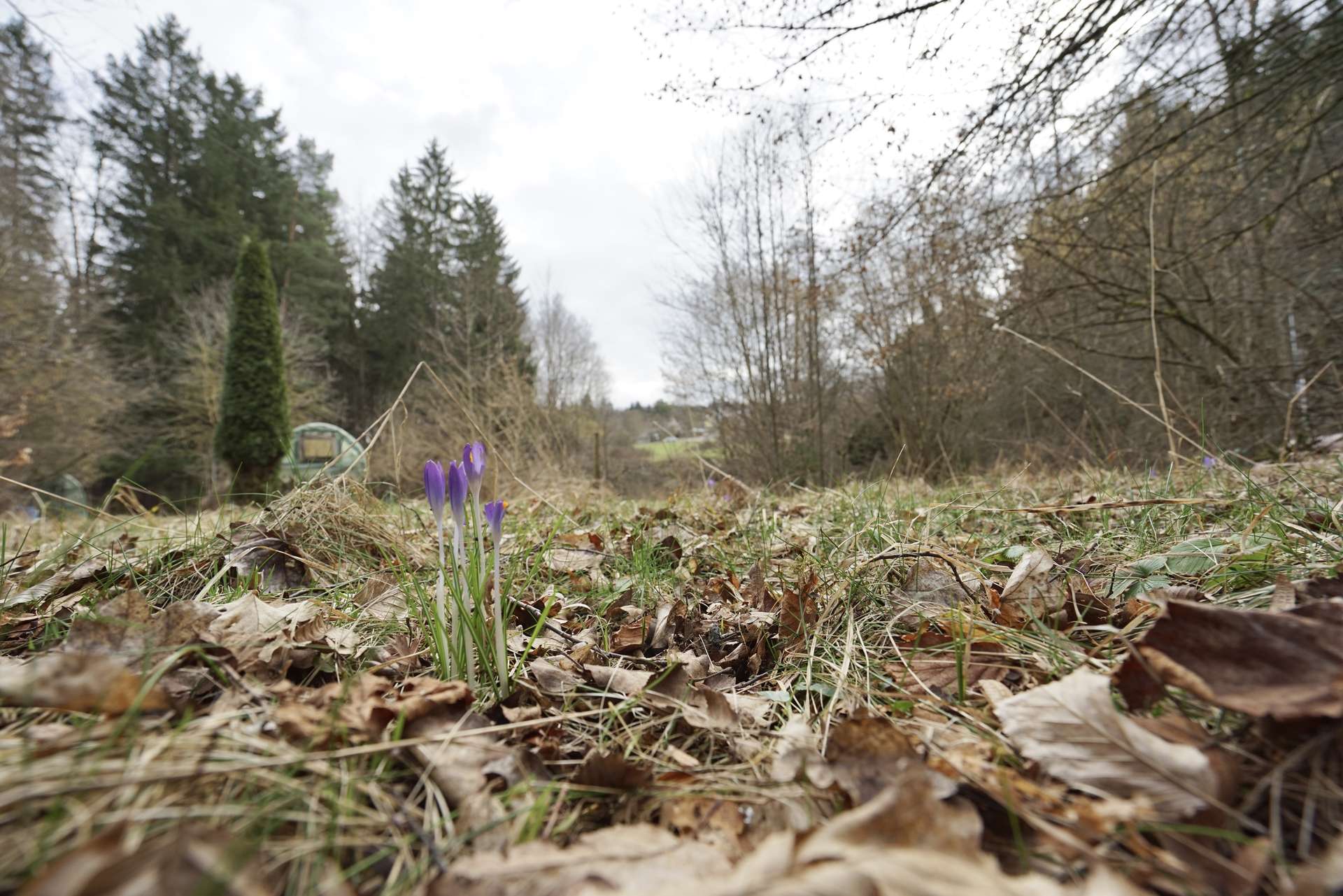 hier wartet Ihr Grundstück! 