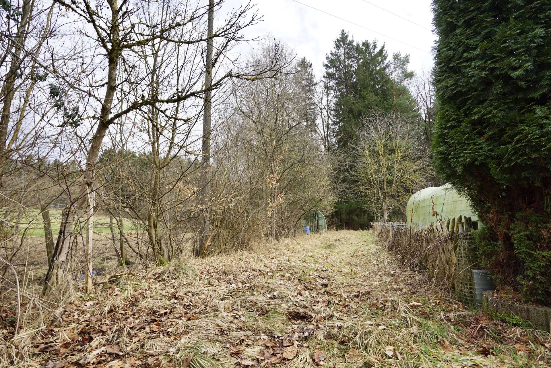 .. Einfahrt mit Gewächshaus 