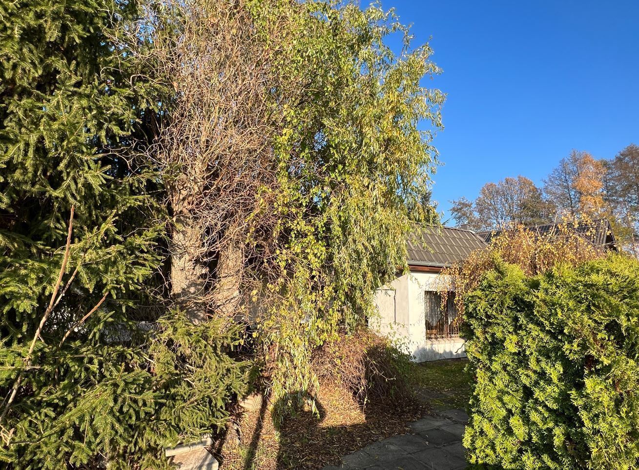 Großzügiges Baugrundstück für Ihr Traumhaus in Falkensee – Bild 4