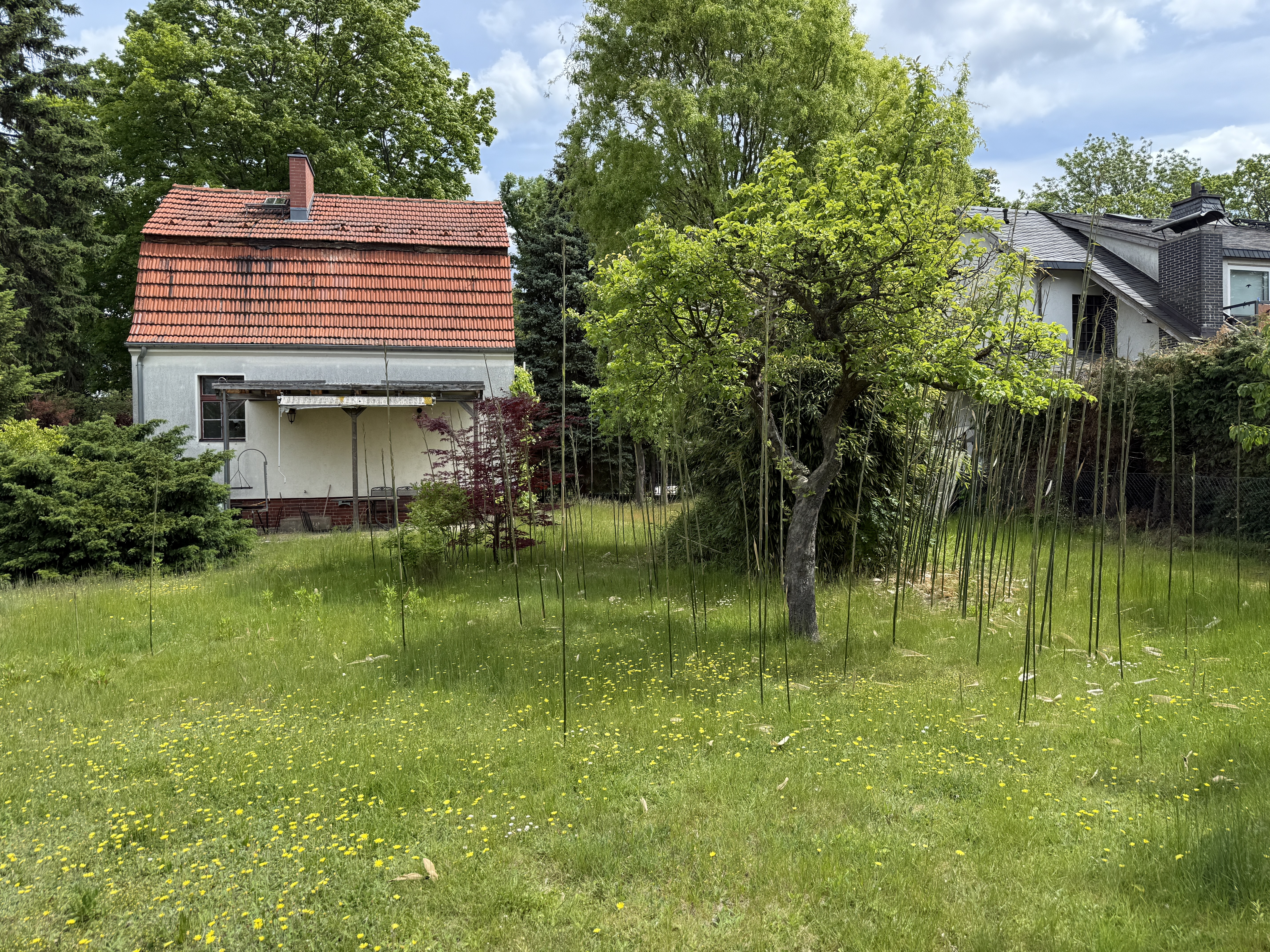 Mehrfamilienhaus oder Einfamilienhaus! Baugrunstück in ruhiger Lage von Lichtenrade – Bild 3
