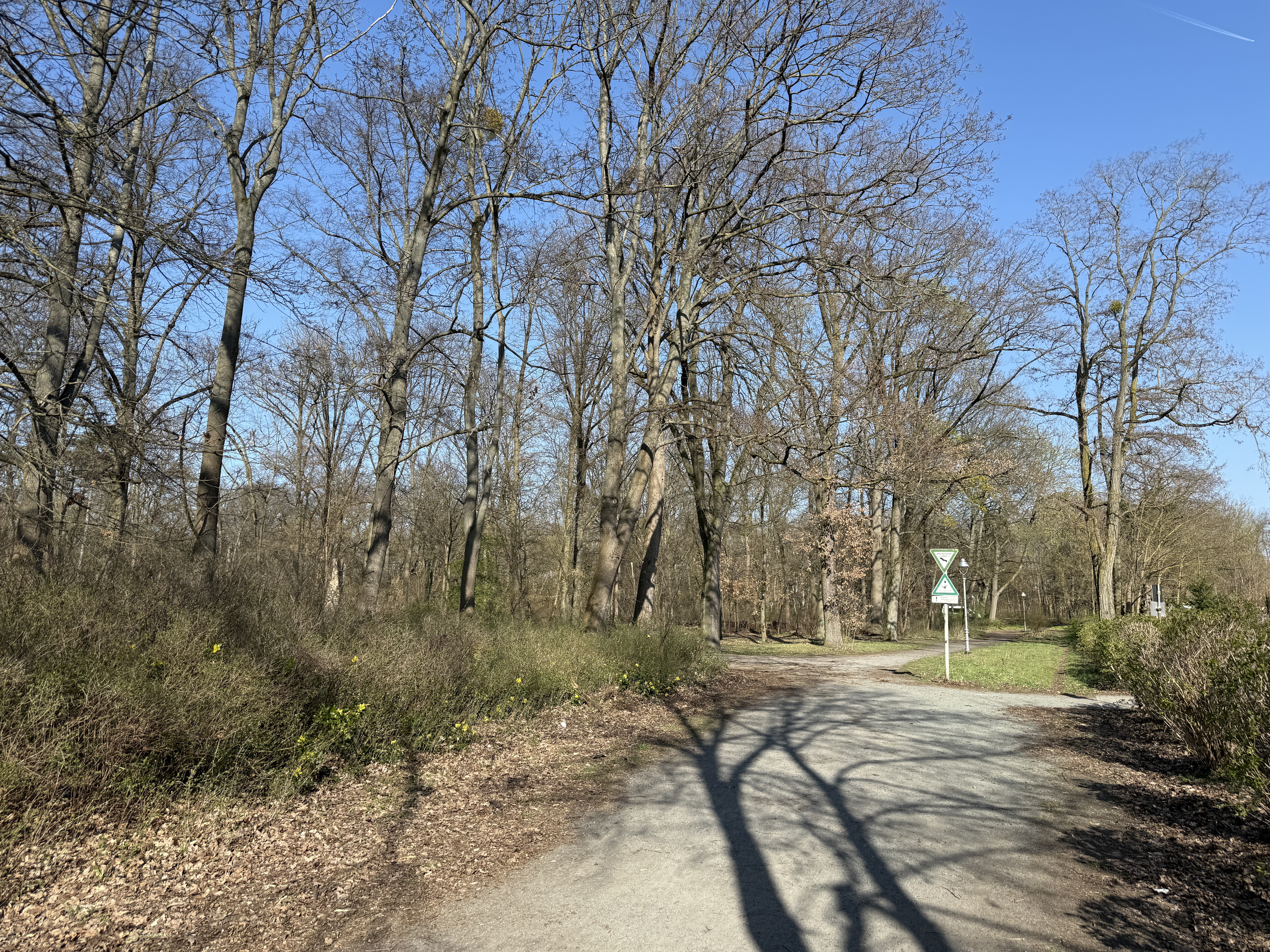3-Zimmerwohnung am Heinrich-Laehr-Park in Berlin-Zehlendorf – Bild 3