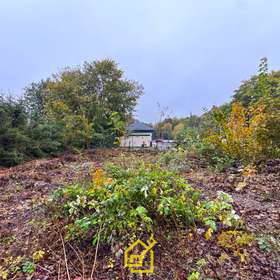 hinterer Grundstücksbereich