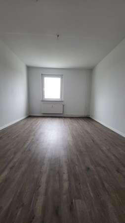 Zimmer 2