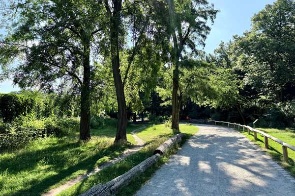 Wohnung_kaufen_Berlin_Wilmersdorf_Volkspark_Wilmersdorf (17)