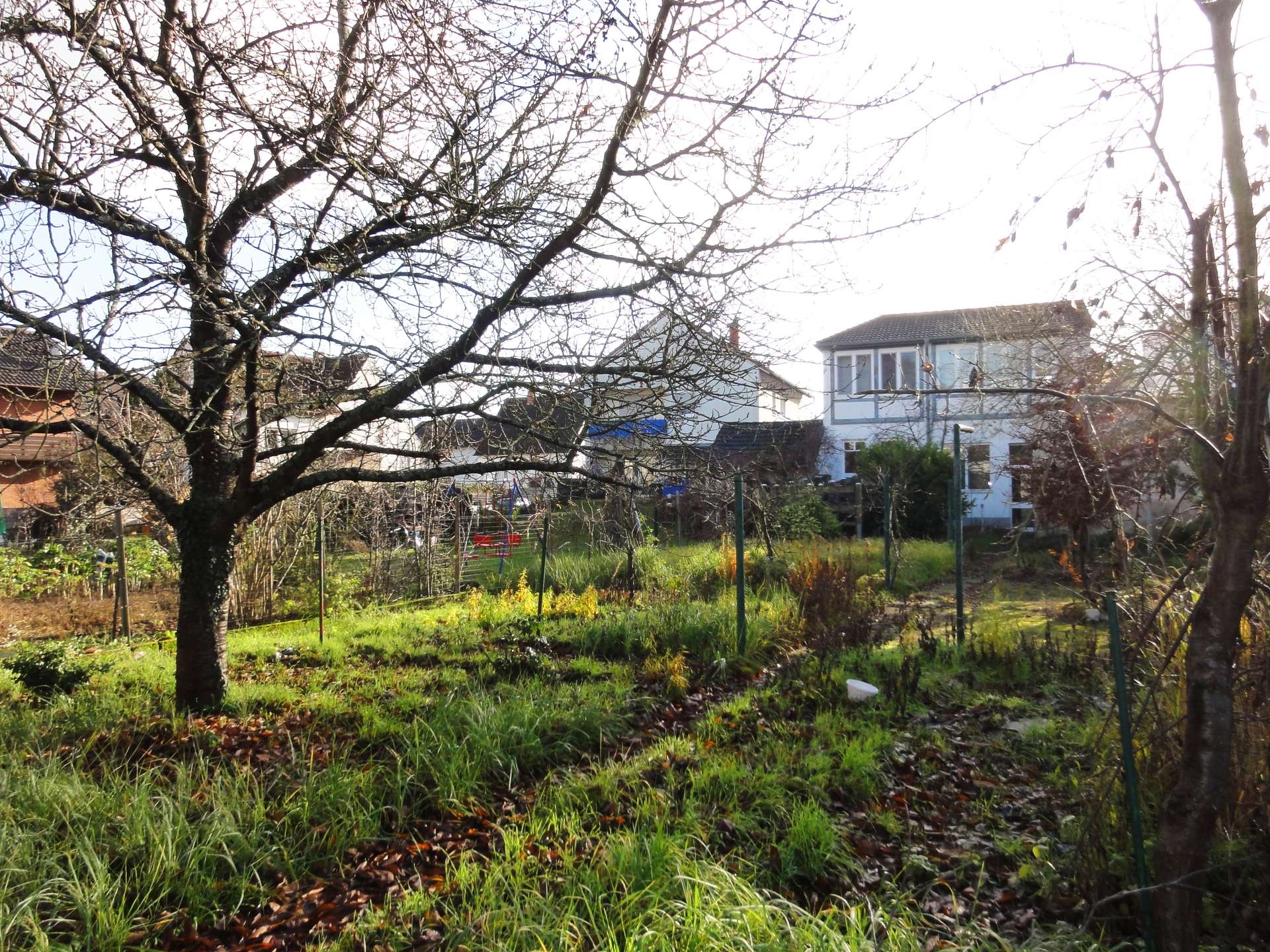 weitläufiger Garten