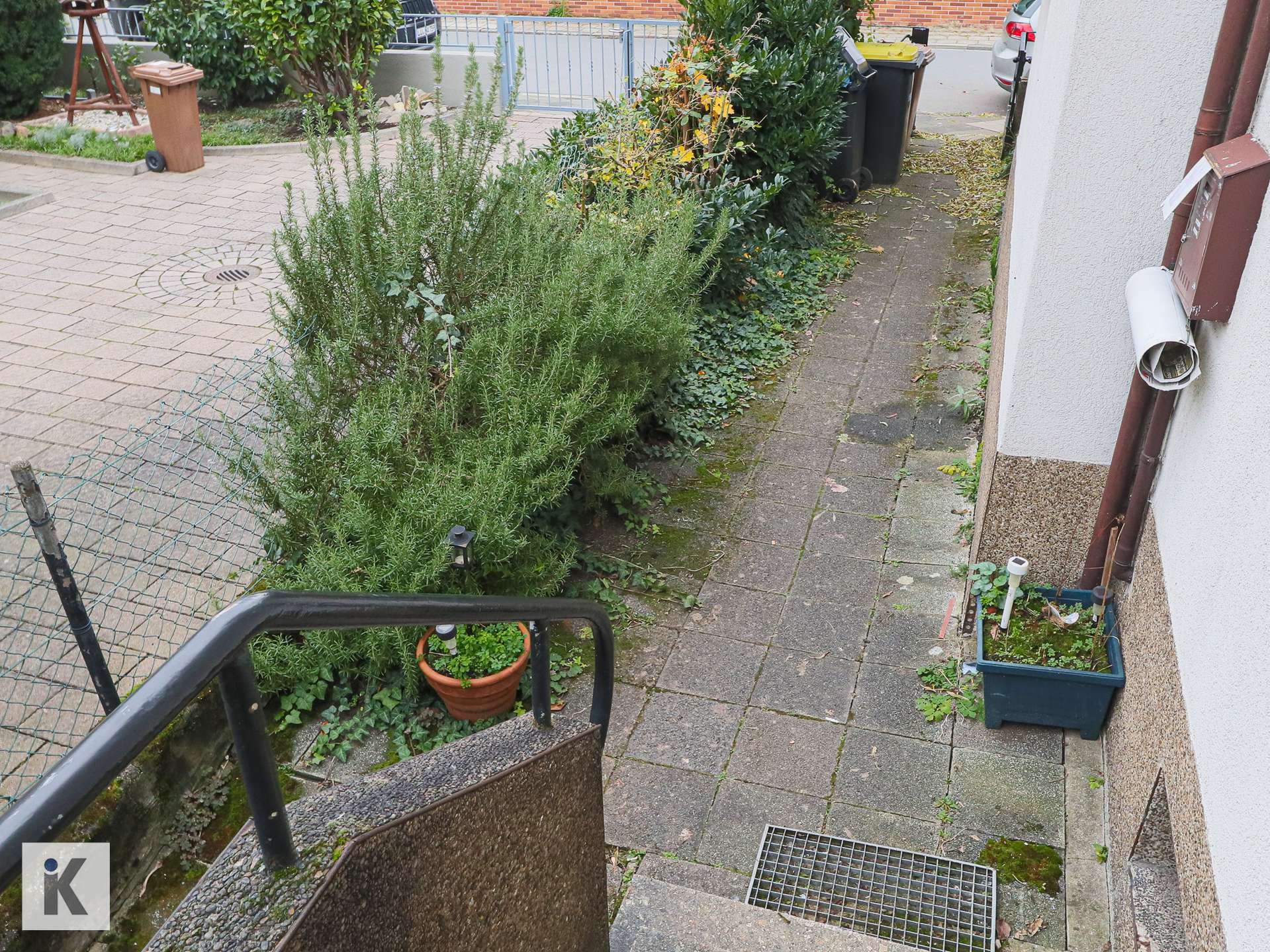 Vorhof