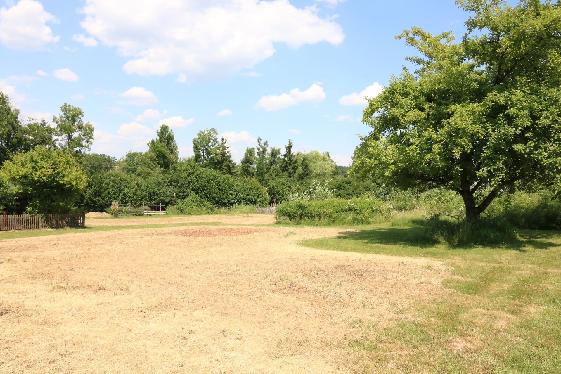 Immobilienbild