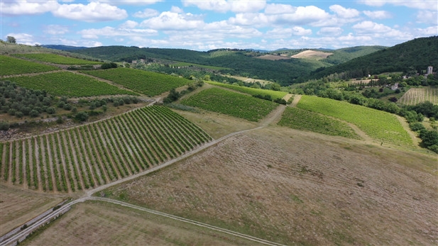 Bauernhof mit Ferienwohnungen im Chianti/ Toskana