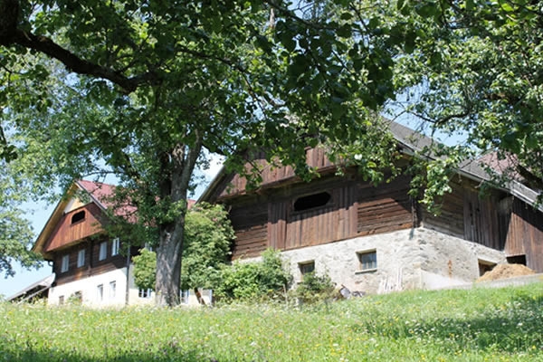 Große Eigenjagd in aussergewöhnlicher Lage
