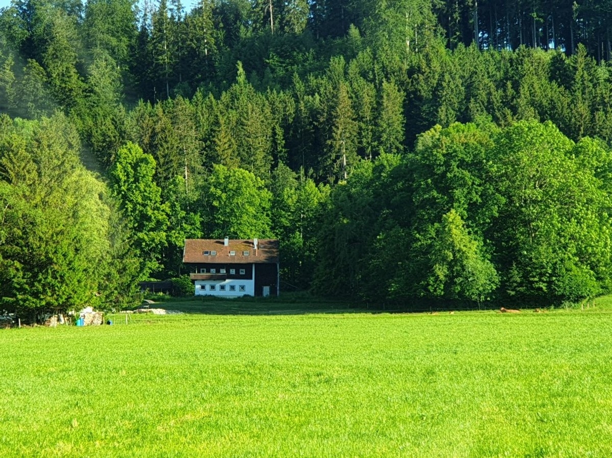 Wunderschönes, altes Bauernhaus in Traumlage am Chiemsee