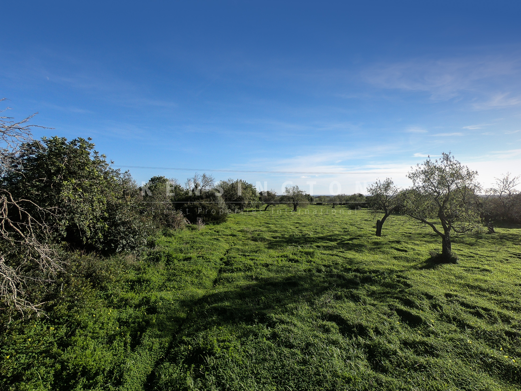 Grundstück bei Santanyi in ruhiger Lage und schönem Baumbestand