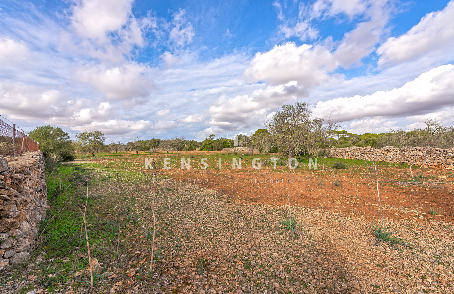 Large rural finca with many possibilities in Llucmajor, Mallorca · Image gallery 15
