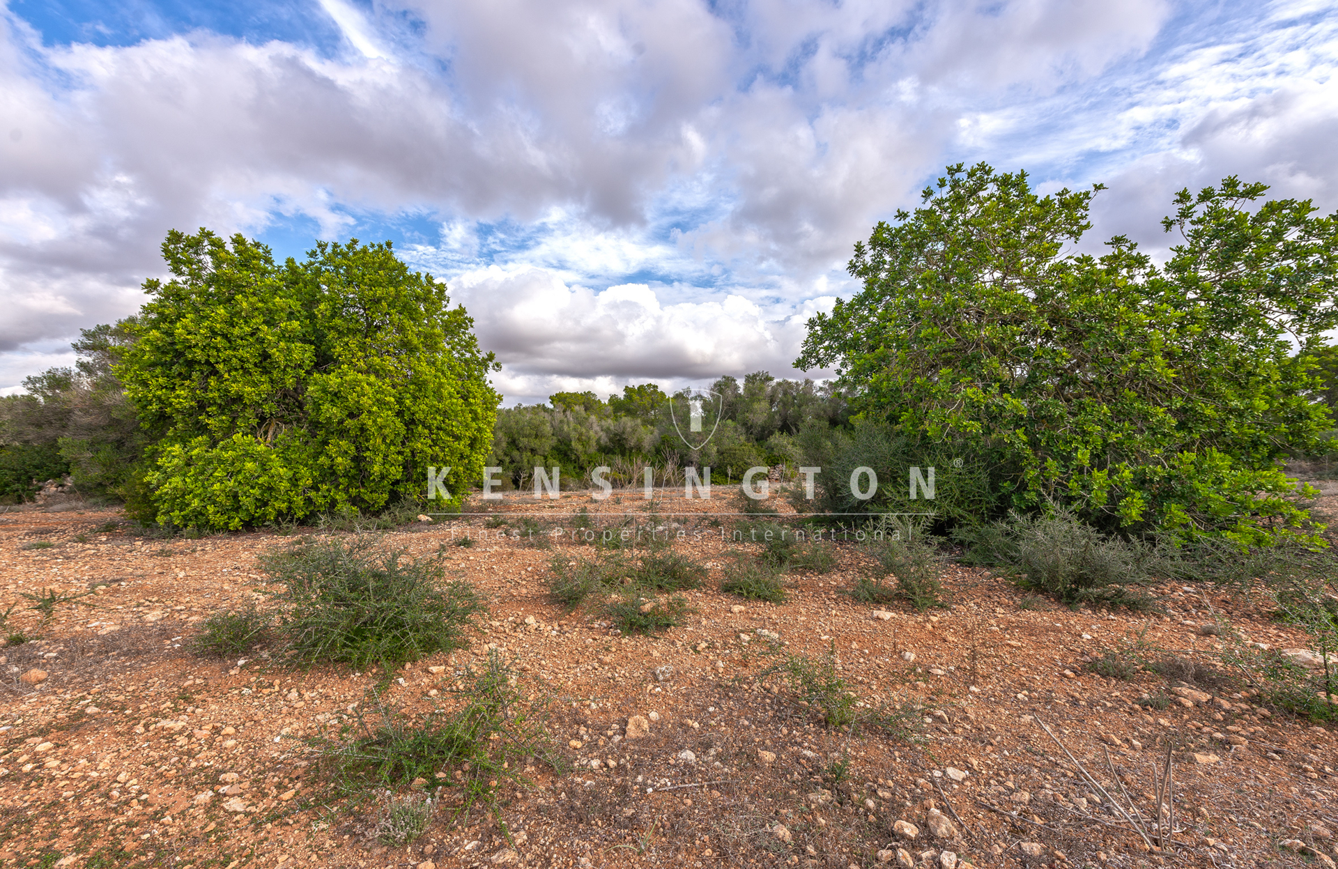 Large rural finca with many possibilities in Llucmajor, Mallorca