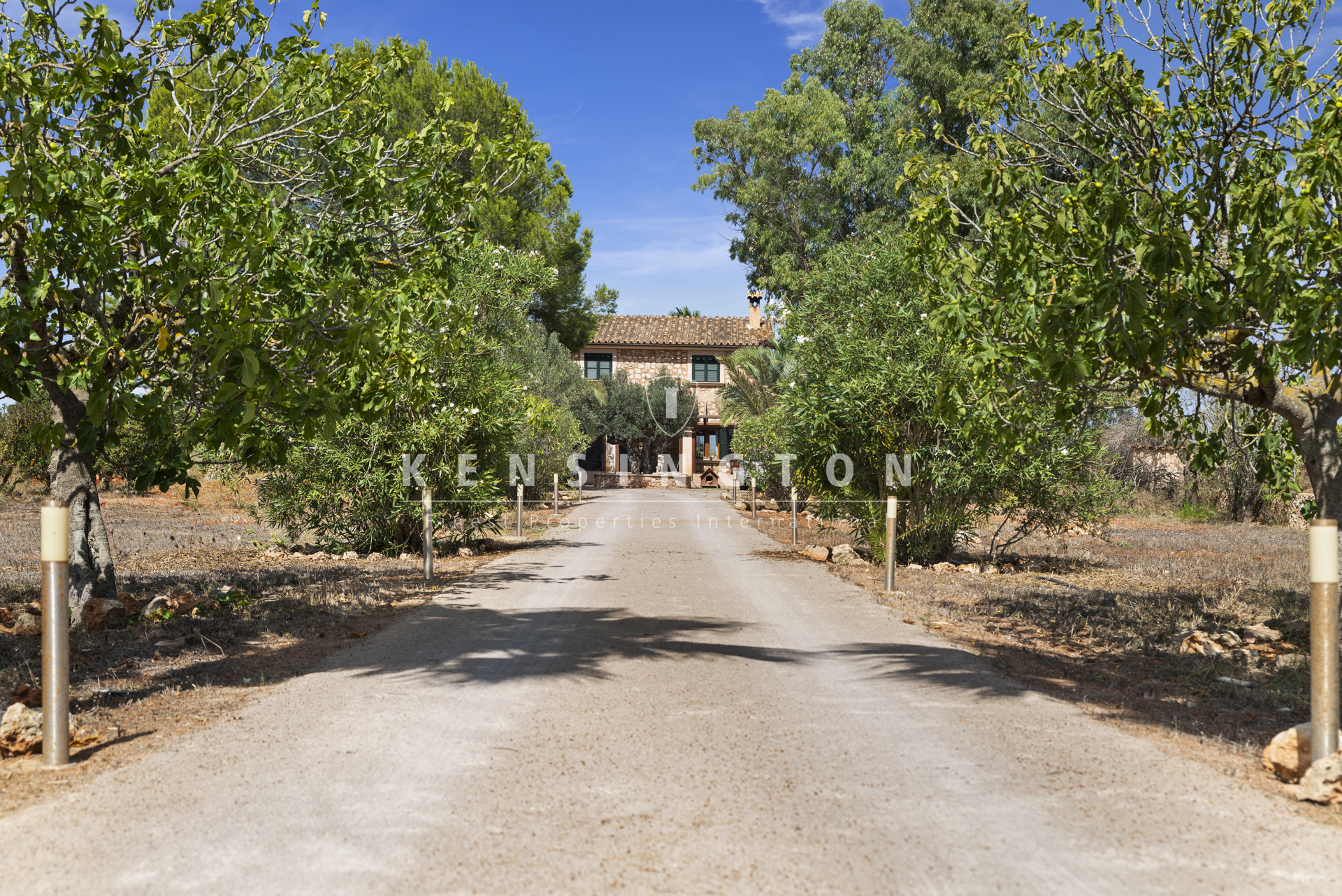 Sunny holiday-rental finca 2 minutes from the beach in Ses Covetes · Image gallery 10
