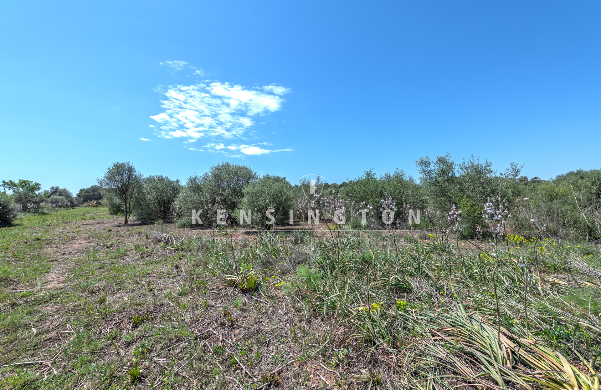 Large buildable plot near Golf Son Antem in Llucmajor, Mallorca · Image gallery 11
