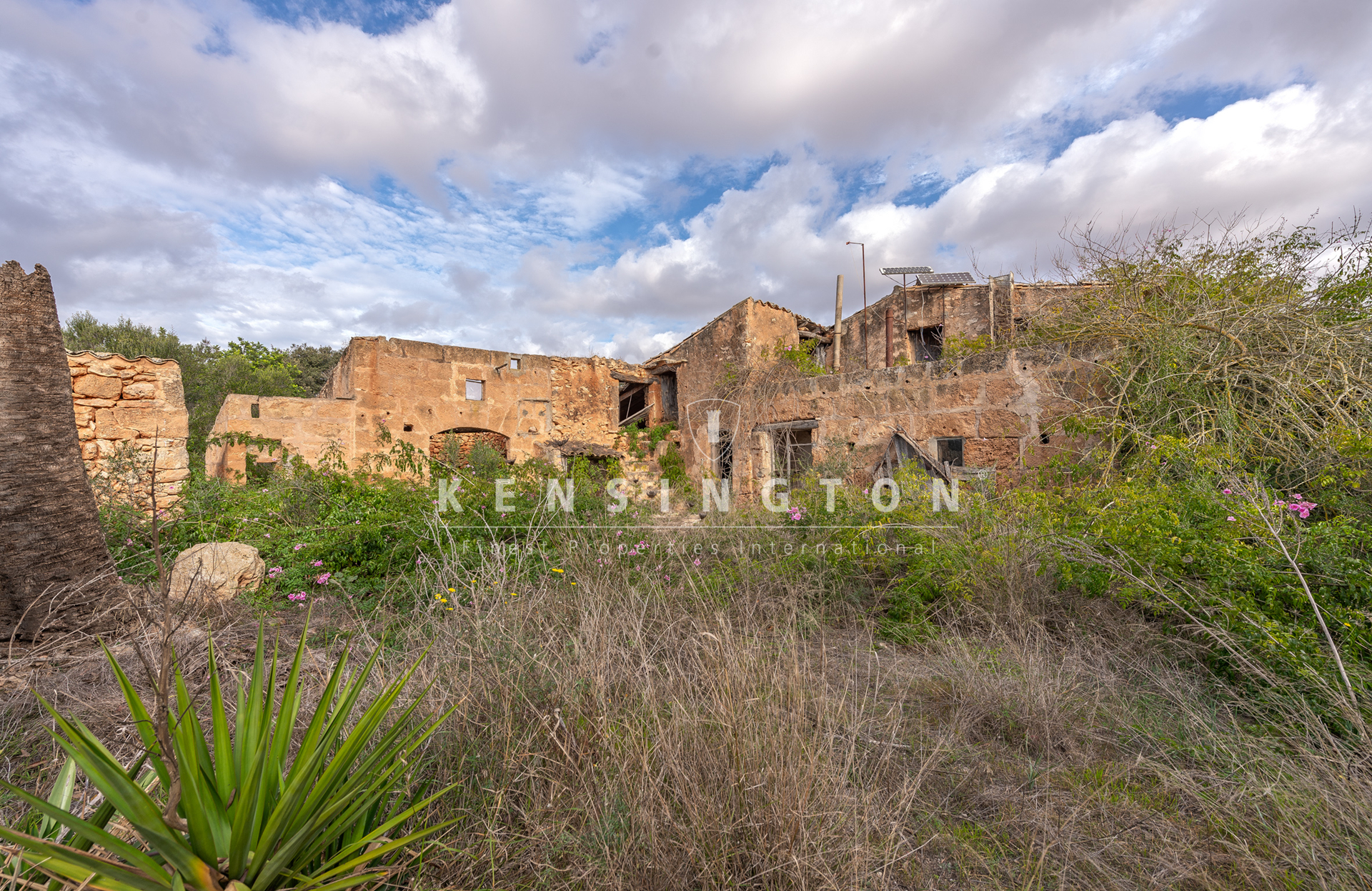 Large rural finca with many possibilities in Llucmajor, Mallorca